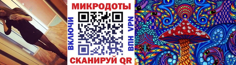 Купить где  Чекалин  Галлюциногенные грибы Magic Shrooms 